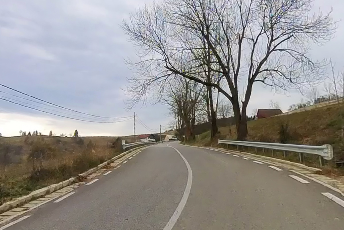 Salonet